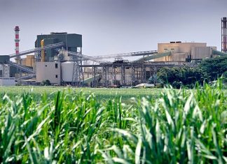 A BAHIA PODE TER ‘NOVO ELDORADO’ SUCROENERGÉTICO