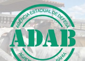 DECLARAÇÃO DE VACINAÇÃO DOS REBANHOS É PRORROGADA EM TODA BAHIA ATÉ 28/12