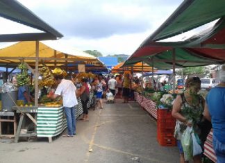 AUXÍLIO PARA FEIRANTES E AGRICULTORES FAMILIARES É APROVADO NA CÂMARA; PROJETO SEGUE PARA O SENADO