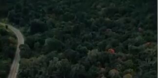 Vista do Vale fortalece estrutura industrial e amplia atuação no mercado de nutrição animal